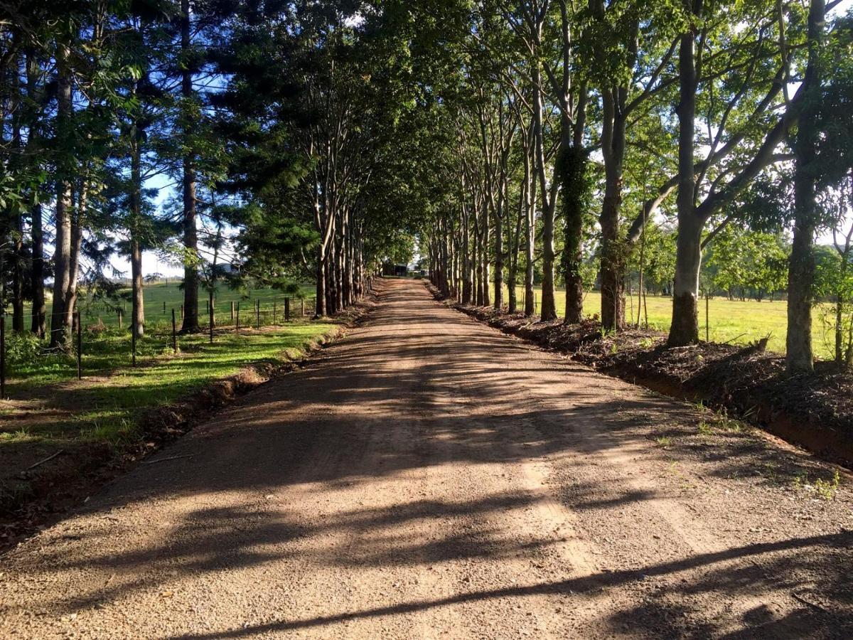 Blackwattle Farm Beerwah Zimmer foto
