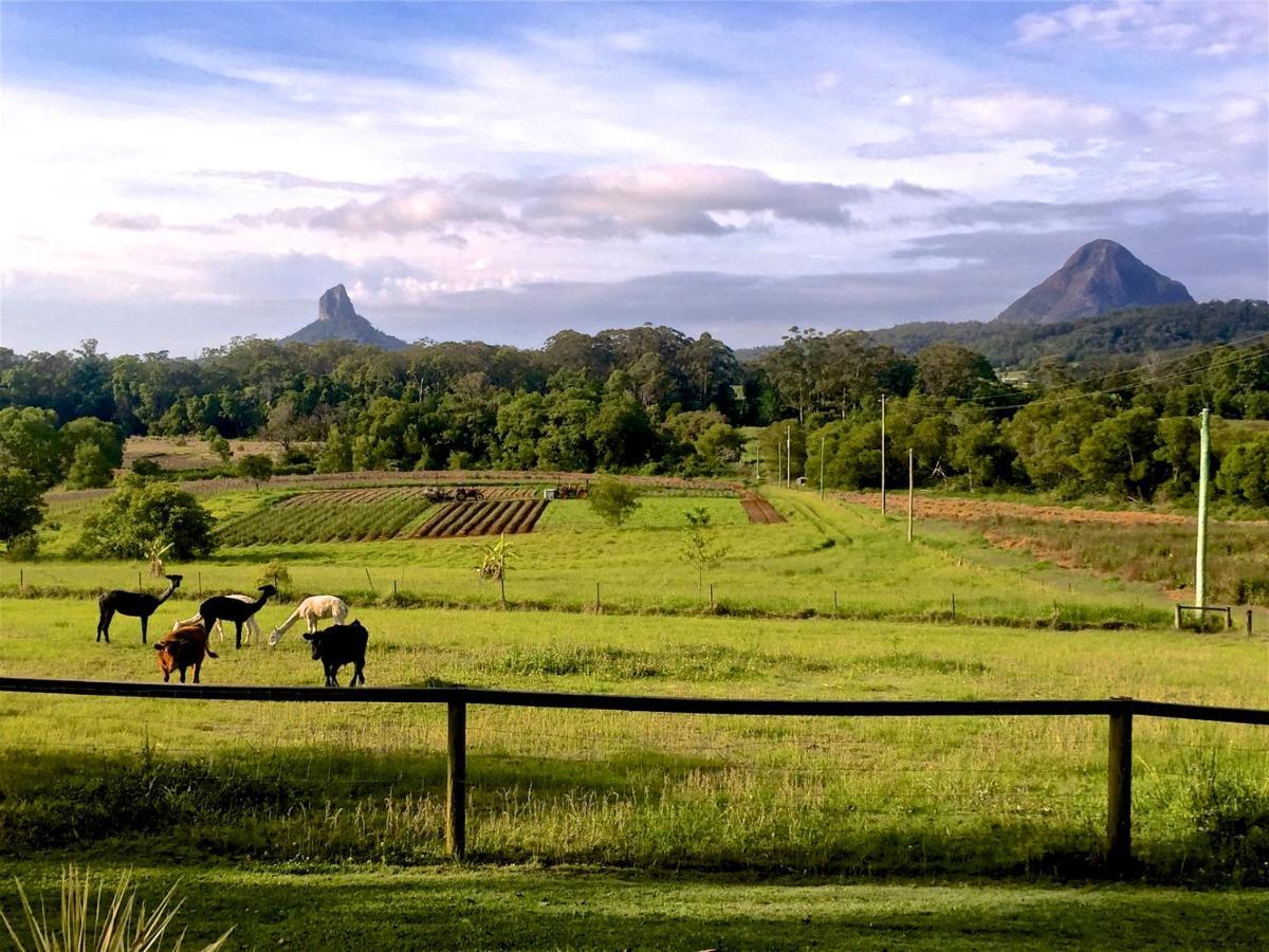 Blackwattle Farm Beerwah Zimmer foto