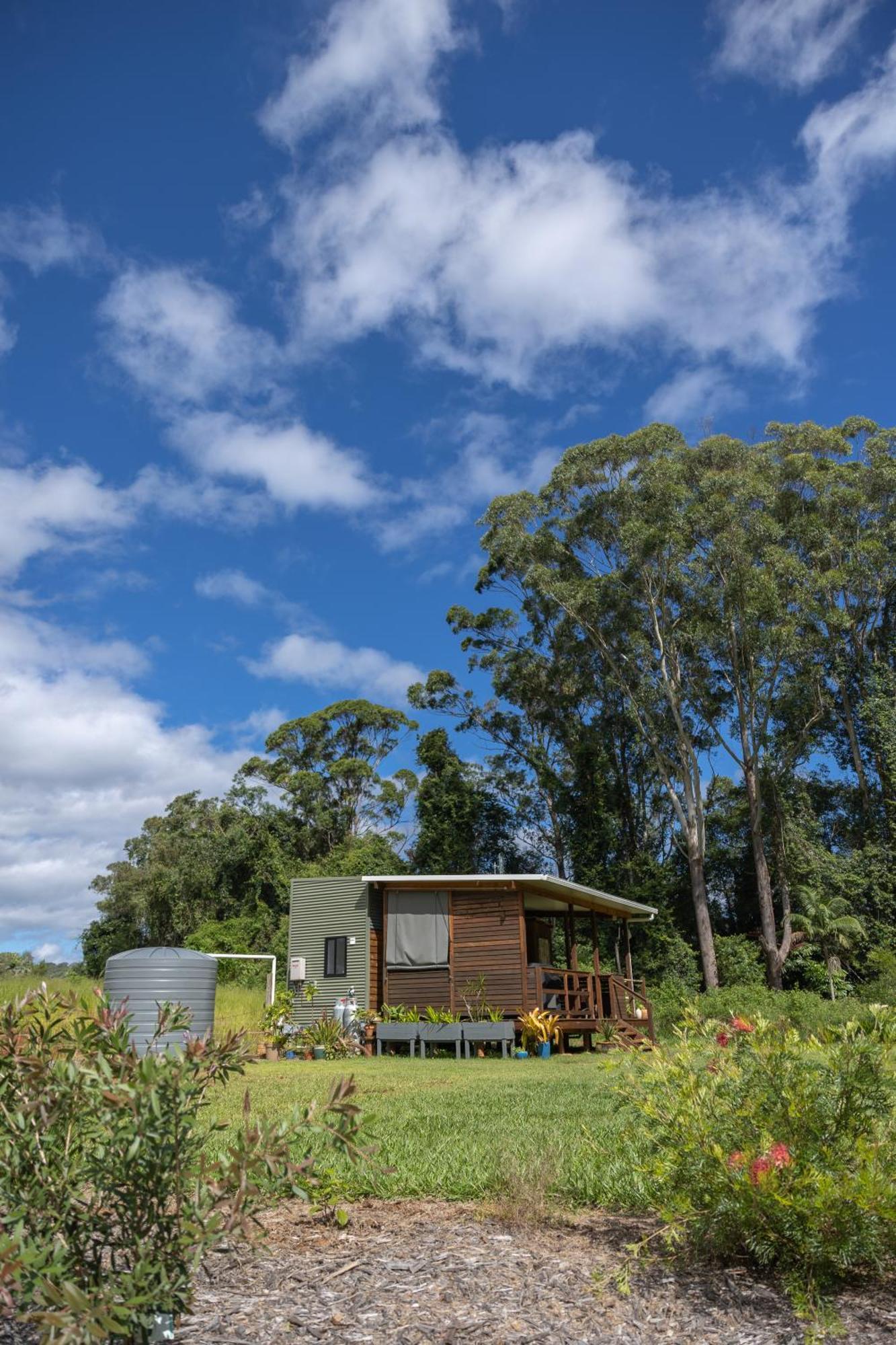 Blackwattle Farm Beerwah Zimmer foto